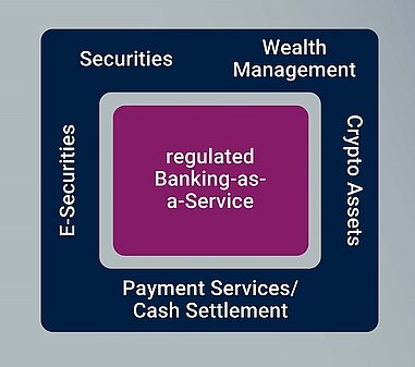 Grafik zur BaaS mit Cash-Settlement-Plattform